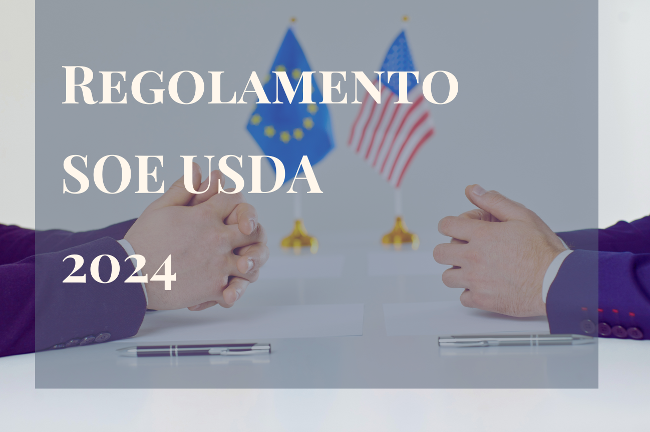 regolamento.-soe-2024