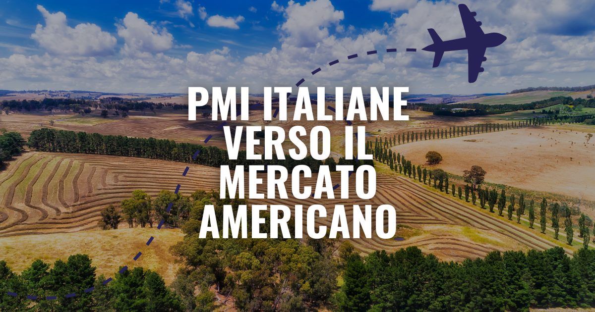 Prodotti agroalimentari italiani — pasta, olio, vino e pomodori — simbolo del Made in Italy esportato negli Stati Uniti con il supporto di VV Export Solutions